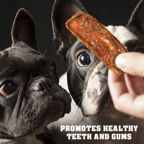 Chicken Jerky Dog Treats 1.5 lb | Human Grade, Grain-Free, Organic High Protein Training Snacks for Dogs