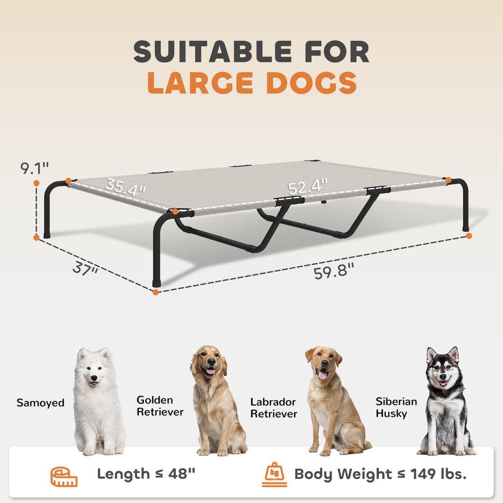 Big Dog Comfort – Elevated Bed for Large Breeds