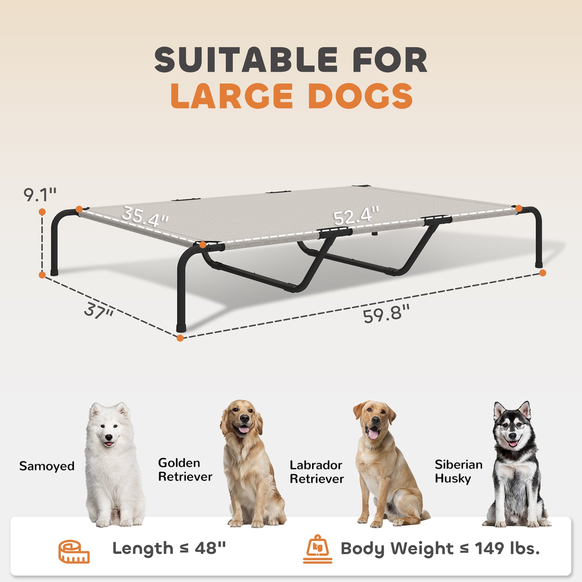 Big Dog Comfort – Elevated Bed for Large Breeds
