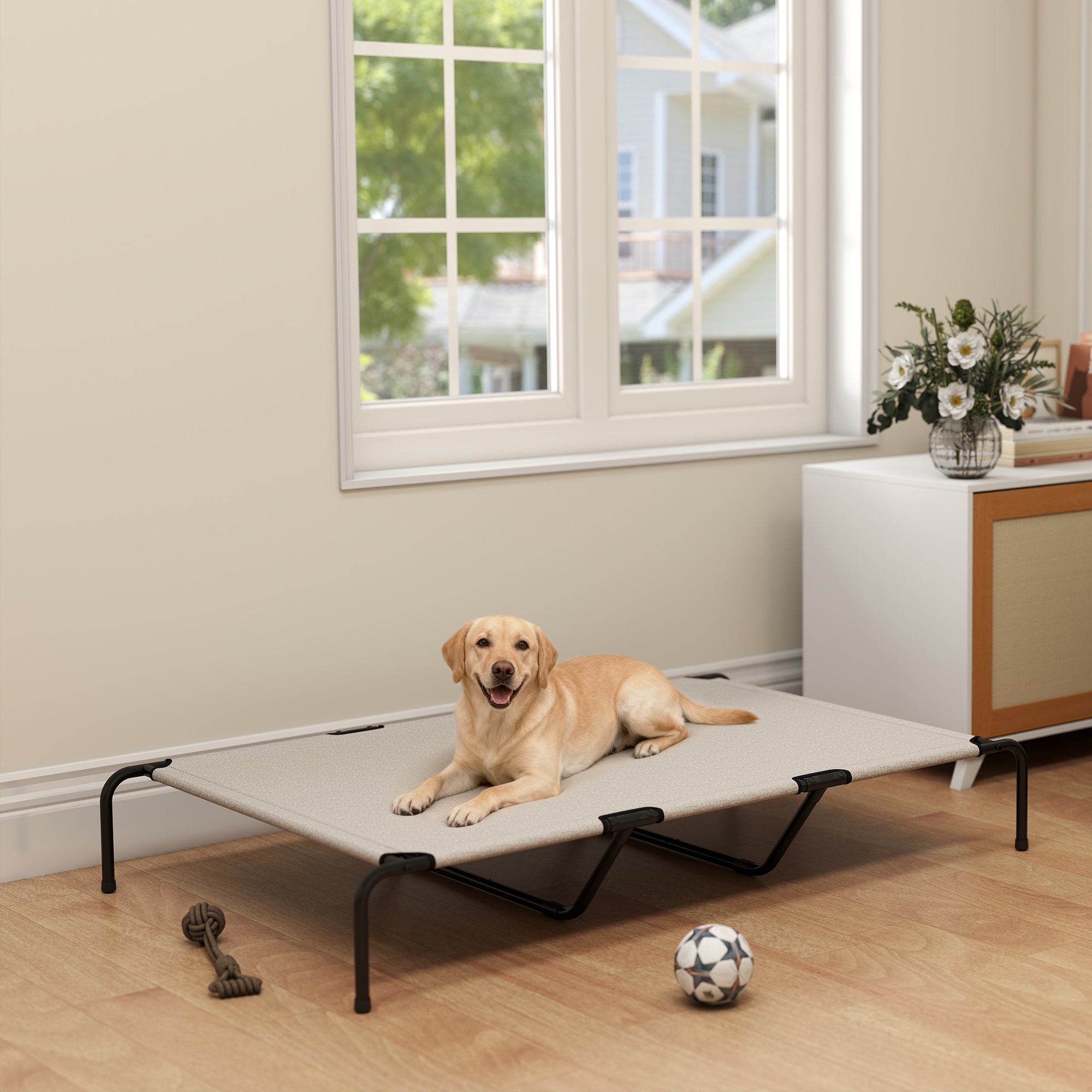 Big Dog Comfort – Elevated Bed for Large Breeds