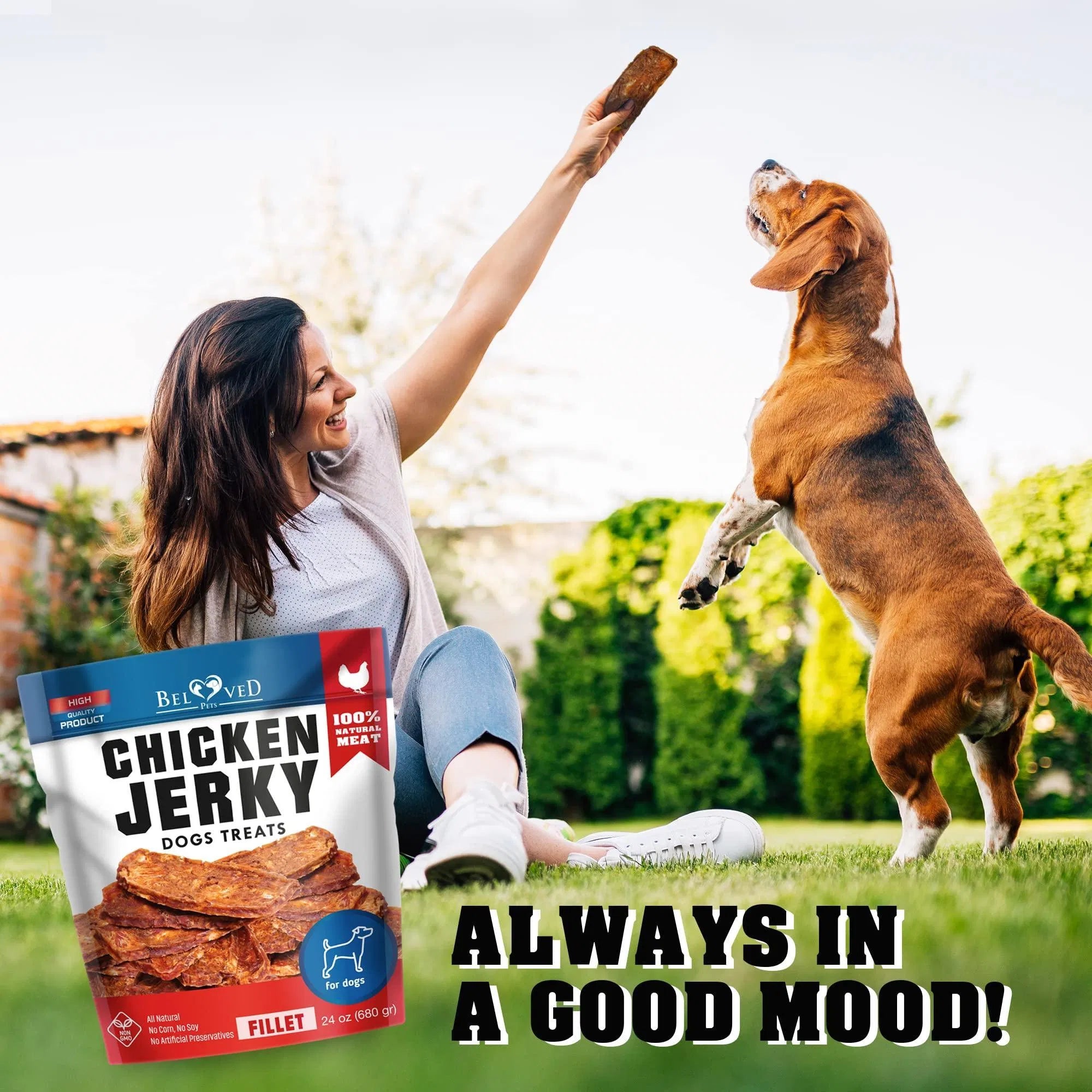 Chicken Jerky Dog Treats 1.5 lb | Human Grade, Grain-Free, Organic High Protein Training Snacks for Dogs